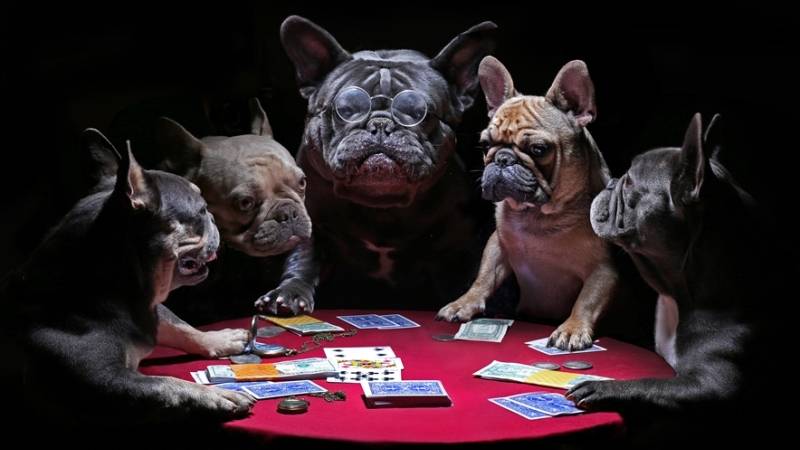 【Cách chơi Poker Texas Hold’em】 Hướng dẫn quy tắc kiểu chơi của Poker Texas Hold’em